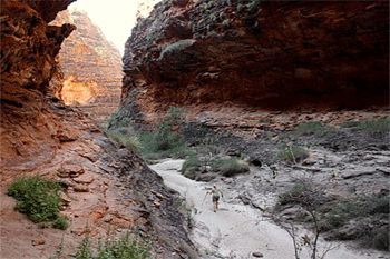 10 Day 4WD Darwin to Broome Overland