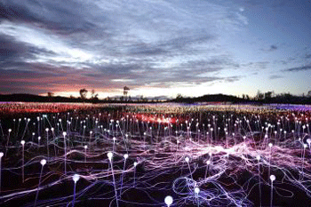 Field of Lights Uluru - credit Australia tourism