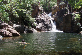 Kakadu park and Top End small guided groups safaris from Darwin