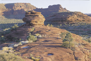 Palm Valley Western MacDonnells Australia