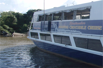 1 Day crocodile wildlife cruise and jumping