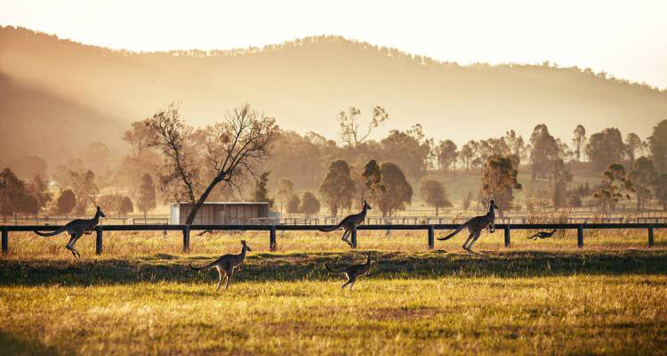 Tourism Australia