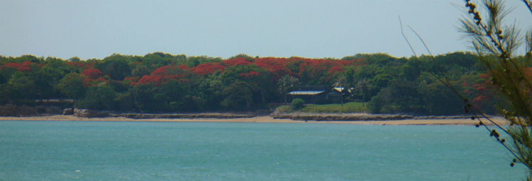 Lake Alexander in Darwin a great place to take a selfie