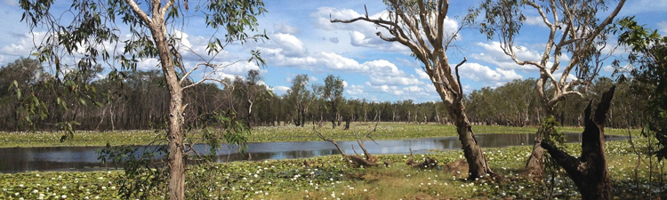 Sandy Billabong Kakadu