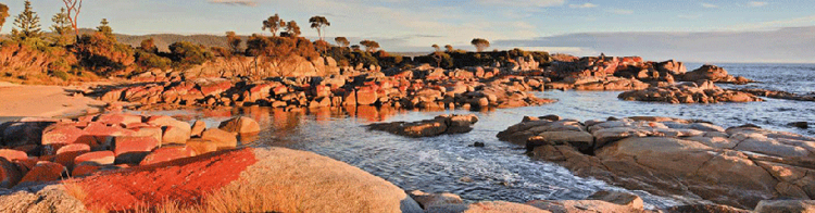 Bay of fires on tour in tasmania