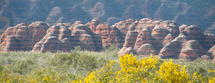 <b>Tour and safari range starting from Broome, 