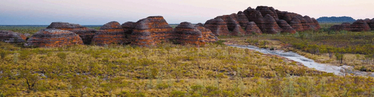 Bungle Bungles Australia  see our overland Darwin to Broome small group adventure tours