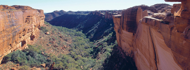 Kings Canyon - NTTC