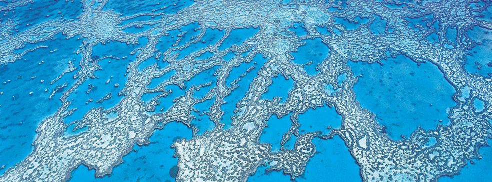 The Great Barrier Reef  from Cairns