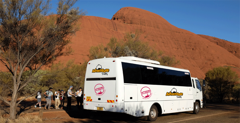 Adventure Tours all terrain vehicles on tour being one of 2 styles