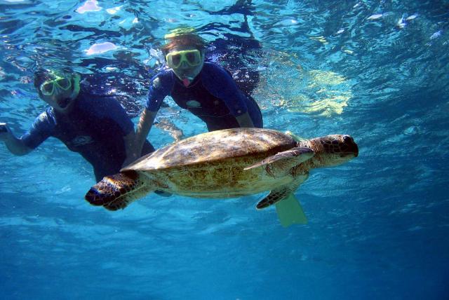 PB10-coral-bay-ningaloo-reef