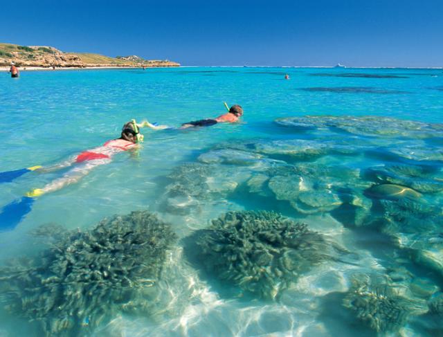 coral-bay-snorkelling