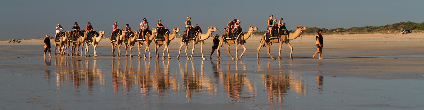 PKOPB-Broome-camels