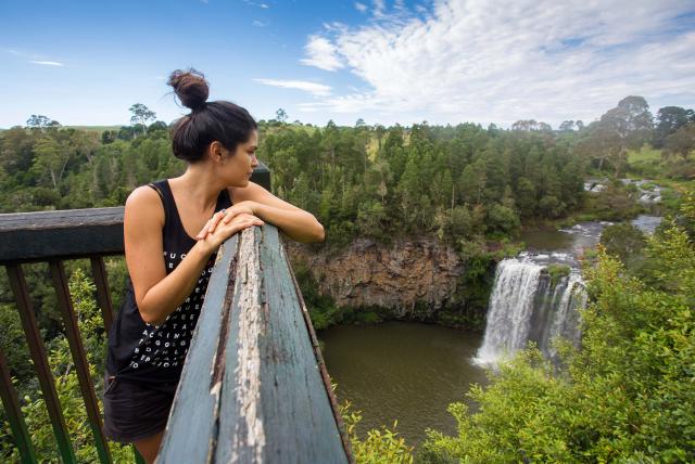 Dorrigo National Park