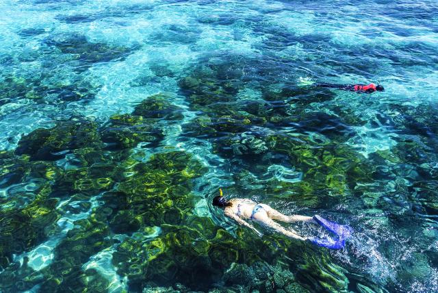 PVOSC-queensland-great-barrier-reef-snorkelling