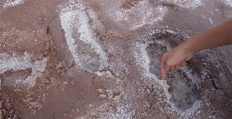 Adelaide to Alice Springs  seeing the salt plains on a overland Australia tour