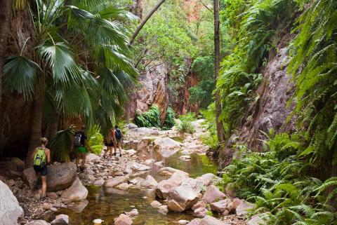 Kimberley Trail -  Broome to Darwin safari tour
