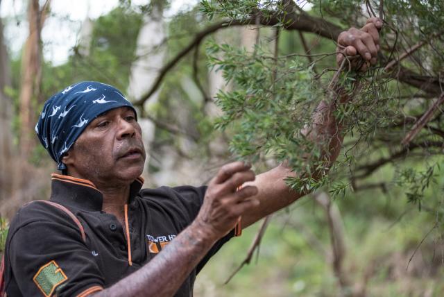 The Grampians  cultural experienc