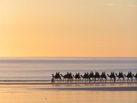 WHilst in Broome  why not take a camel ride the day before your tour.