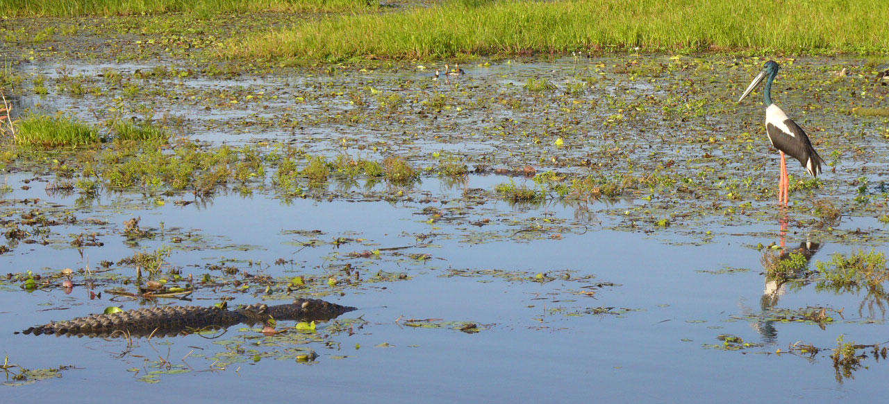 Kakadu National Park wildlife famous photos