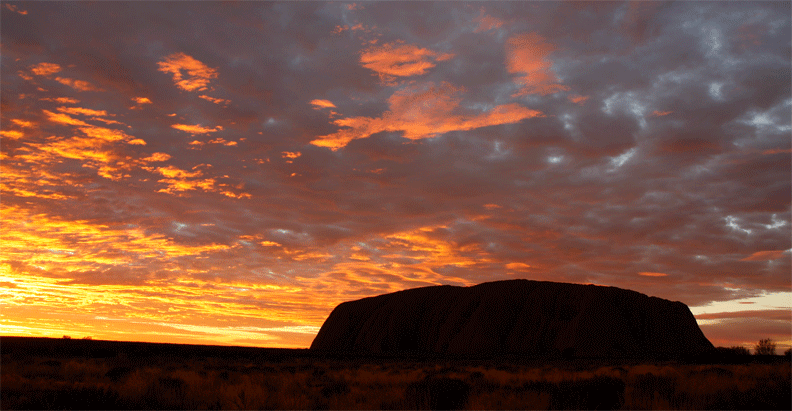 Uluru - during a spectacular  sunrise